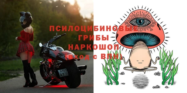 дмт Аркадак
