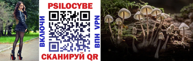 Псилоцибиновые грибы MAGIC MUSHROOMS Старица